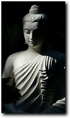 a white buddha statue sitting in the dark