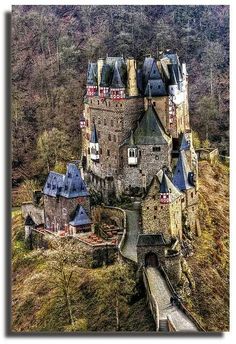 an aerial view of a castle in the middle of a forest with lots of trees