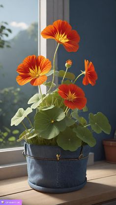 an orange flower in a blue pot on a window sill