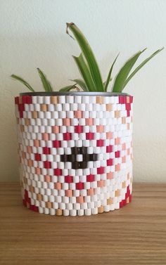 a potted plant sitting on top of a wooden table