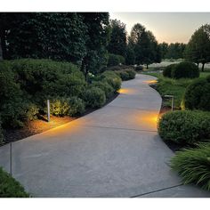 a path with lights in the middle of it