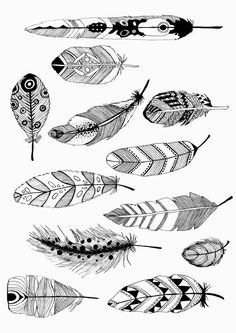 several different types of feathers are shown in this black and white photo, one is drawn with