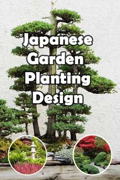 the japanese garden planting design is shown in three different pictures, with text overlaying it