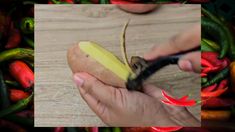 a person cutting up a piece of food on top of a wooden table next to peppers