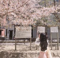 a woman standing under a tree with pink flowers