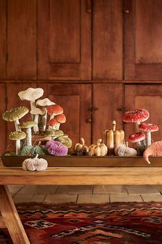 a table topped with lots of mushrooms on top of a wooden floor next to a rug