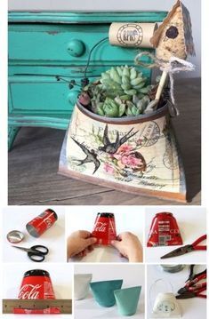 the collage shows how to make an old soda can planter with succulents