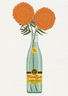 an orange flower in a glass bottle with water on the bottom that says daisy drop