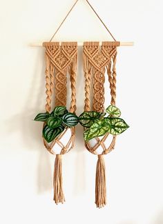 three macrame plant hangers with plants in them on a white wall background