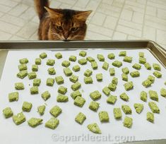 a cat is looking at some food on a pan