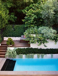 an outdoor swimming pool surrounded by greenery