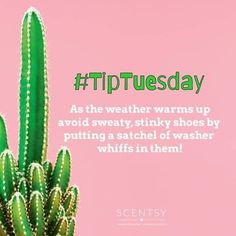 Scentsy Tip Tuesday, Scentsy Banner, Stinky Shoes, Lemongrass Spa, Scented Wax Warmer