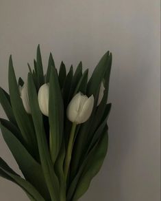 white tulips are in a vase with green leaves on the top and bottom