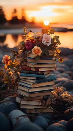 a stack of books sitting on top of a pile of rocks next to the ocean