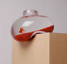 a fish in a bowl sitting on top of a wooden block next to a white wall