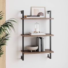 two shelves with books and pictures on them against a white wall next to a potted plant