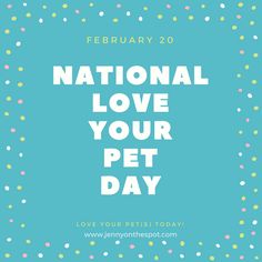 the national love your pet day poster with confetti and dots on blue background