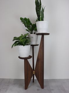 three potted plants sitting on top of two wooden plant stands next to each other