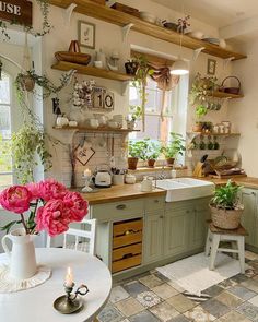 a kitchen filled with lots of potted plants