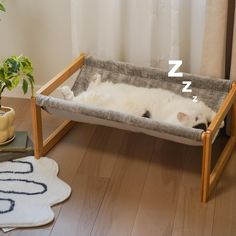 a cat laying in a bed on the floor next to a potted plant and rug