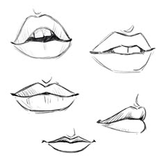 four different types of lips drawn in pencil