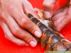 a close up of a person holding an animal on a red surface with other hands