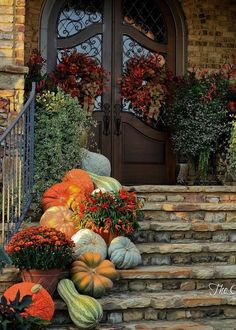 pumpkins and gourds are sitting on the steps