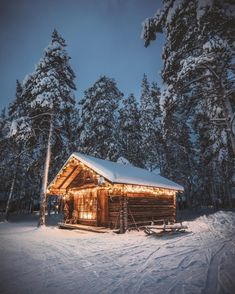 a cabin in the middle of a snowy forest with lights on it's roof