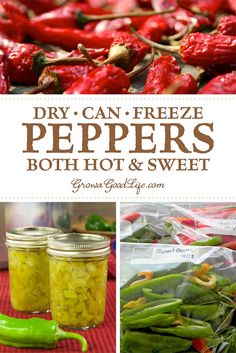 some peppers and other food items on a table with text overlay that says dry can freeze peppers, both hot and sweet