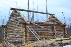 a pile of logs sitting on top of a dirt field