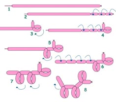 the instructions for how to make an inflatable dog toy with balloons and string