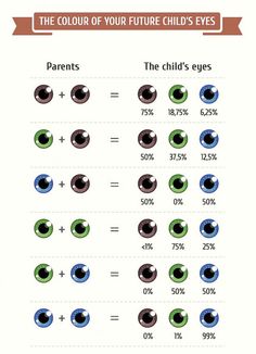 Having children is something that many couples dream of? Before the baby comes to the world, you may be eager to know what your kid will look like. It’s impossible to know for sure, but science can help you guess. The following inforgraphics can you a helpful primer on basic genetics.  So stop waiting and Eye Facts, Baby Eyes, Makijaż Smokey Eye, Writing Help, Useful Life Hacks, 그림 그리기, Future Kids, Green Eyes