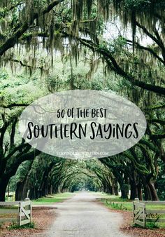 the road that leads to southern savings with text overlay saying 50 of the best southern savings