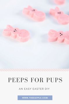 peeps for pups are an easy easter diy