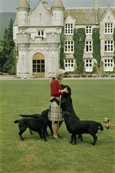 a woman is playing with her dogs in front of a castle