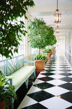 a black and white checkered floor with potted plants on either side of the bench