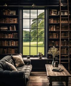 a living room with bookshelves, couch and coffee table in front of an open window