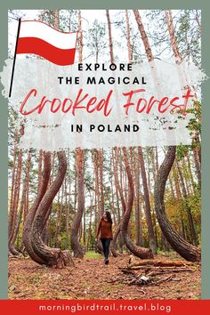 a woman walking through the woods with text overlay reading explore the magic crooked forest in poland