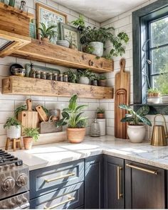 a kitchen filled with lots of potted plants and wooden shelves above the stove top