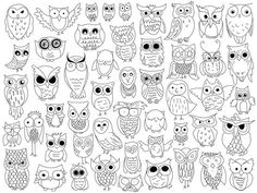 an image of many different owls in black and white