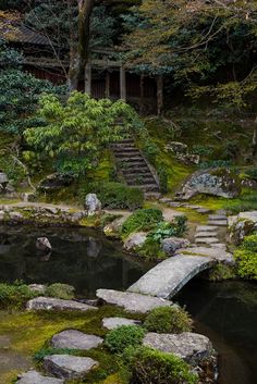 a small pond in the middle of a forest with steps leading up to it and moss growing on the rocks