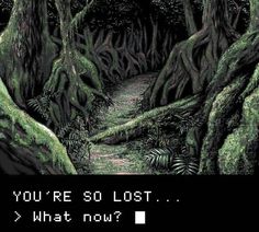 an old video game screen with the title you're so lost what now?