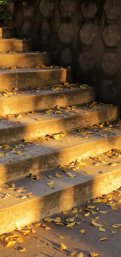 some steps with yellow leaves on them and one is lit up by the light coming from behind