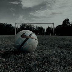 a soccer ball sitting on top of a lush green field