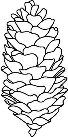 a pine cone that has been drawn in black and white with the outlines on it