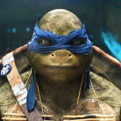 a close up of a person with a turtle on their head and wearing a blue mask