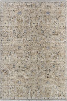 an area rug with many different colors and patterns on the carpet, including beiges