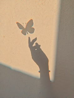 the shadow of a person's hand holding a butterfly on a white wall with sunlight coming through it