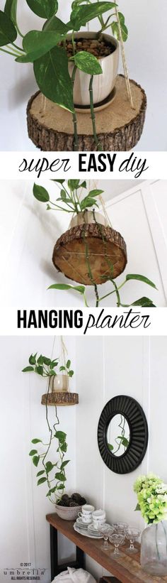 there are three different types of planters on the shelves in this houseplant