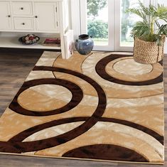 an area rug with circles on it in front of a window and potted plant